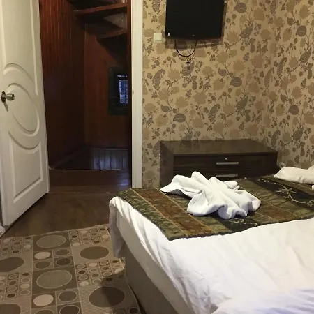 Divan Wooden Bed & Breakfast 2*